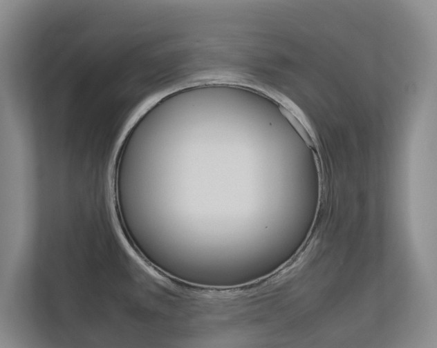 X0000112751389200908201004