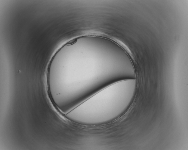 X0000112751391200908201004