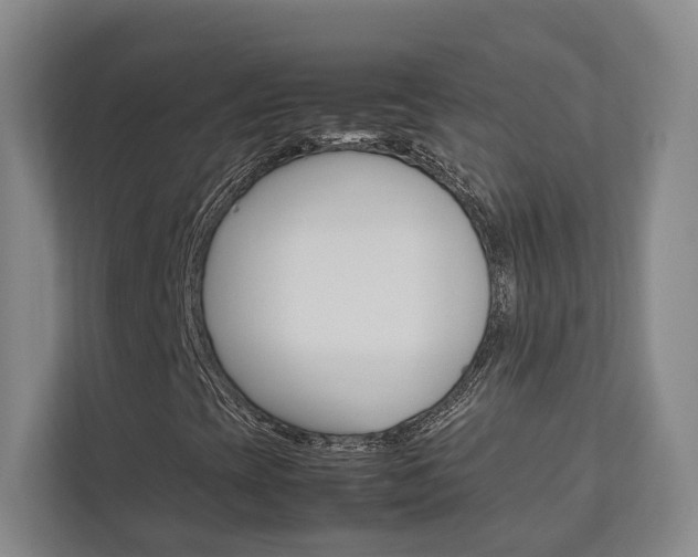 X0000112751393200908201004