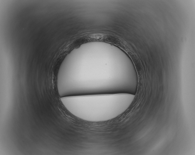 X0000112751394200908201004