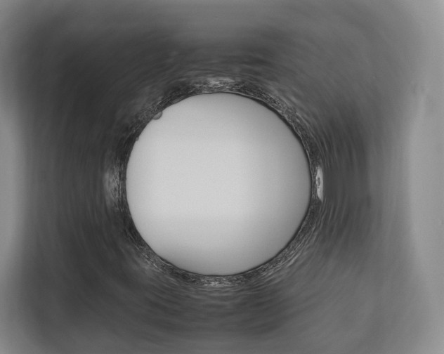 X0000112751395200908201004