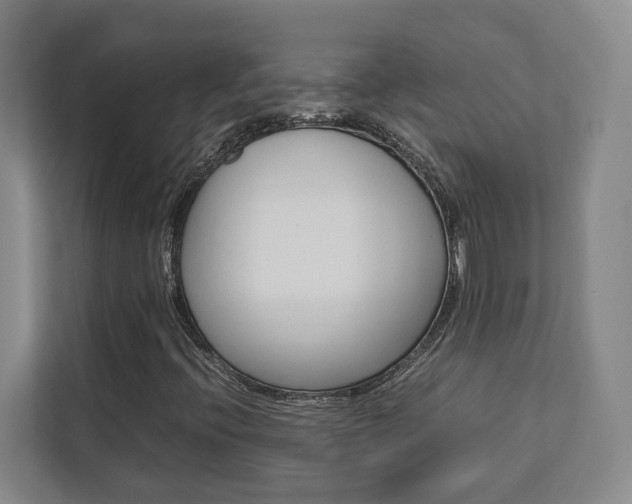 X0000112751396200908201004