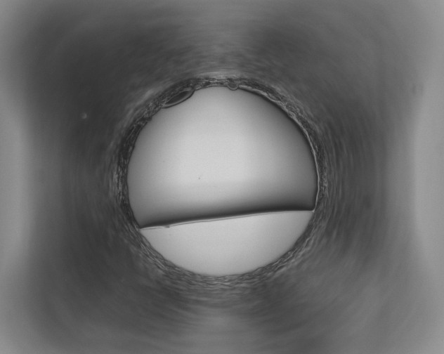 X0000112751398200908201004
