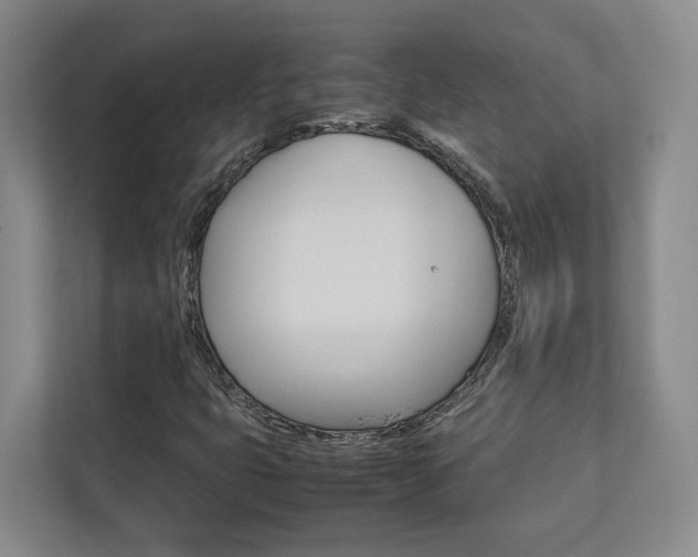 X0000112751399200908201004