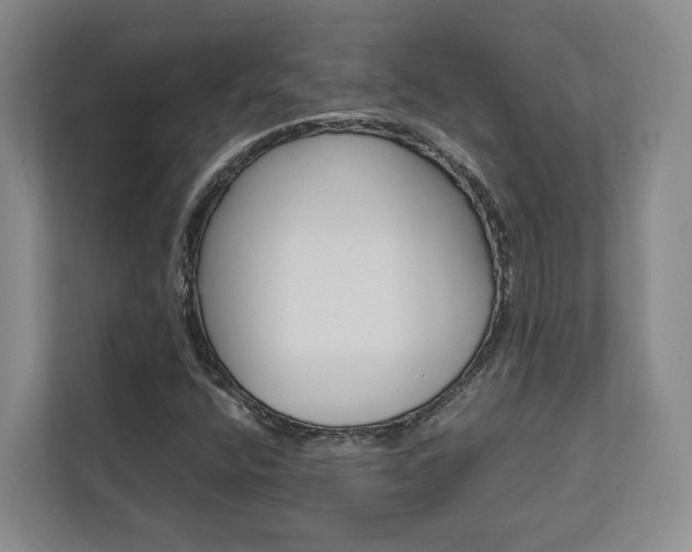 X0000112751400200908201004