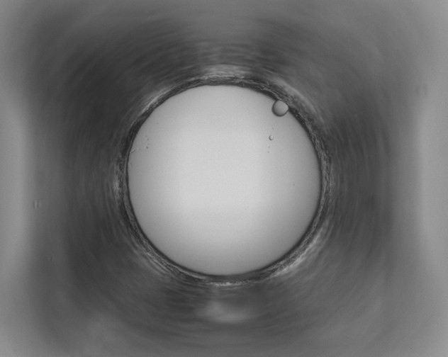 X0000112751401200908201004