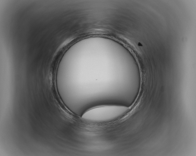 X0000112751402200908201004