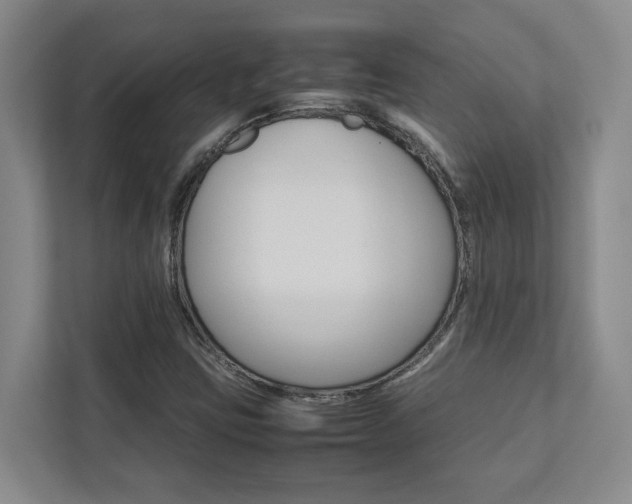X0000112751403200908201004