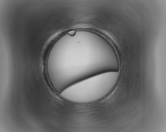 X0000112751406200908201004