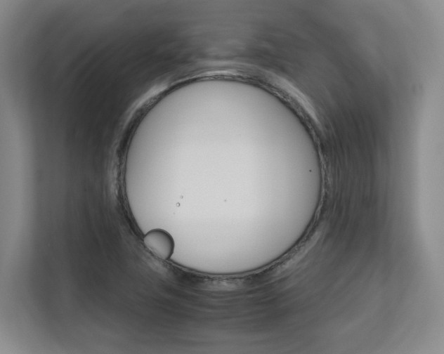 X0000112751411200908201004