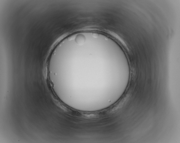 X0000112751413200908201004