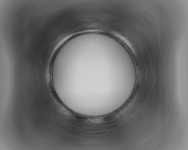 X0000112751415200908201004