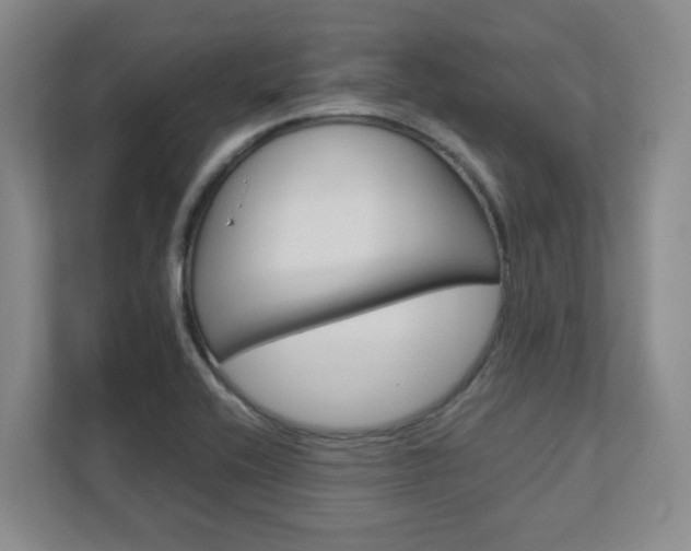 X0000112751416200908201004