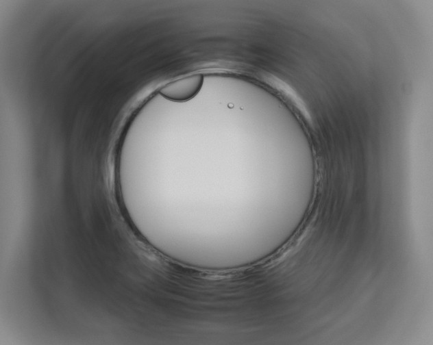 X0000112751419200908201004