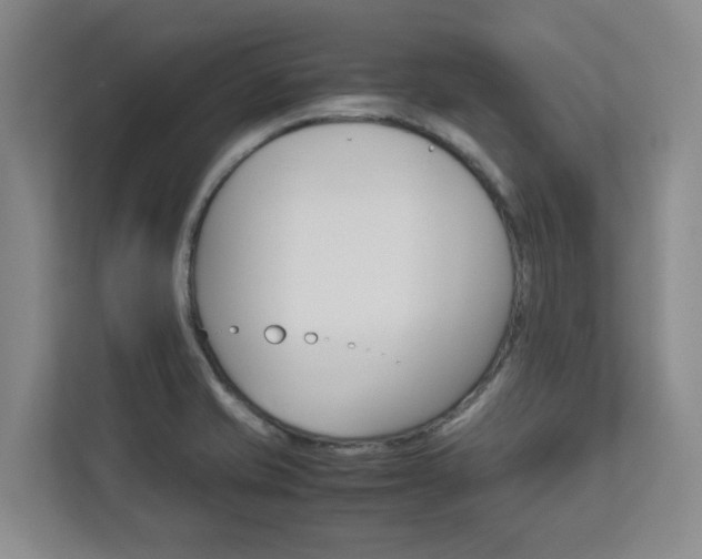 X0000112751421200908201004