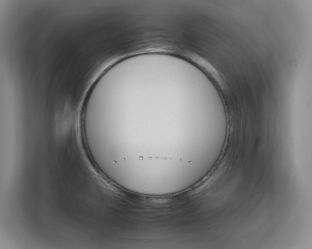 X0000112751423200908201004