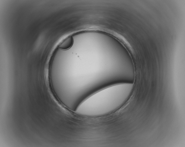 X0000112751424200908201004