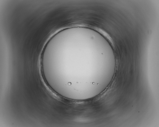 X0000112751431200908201004