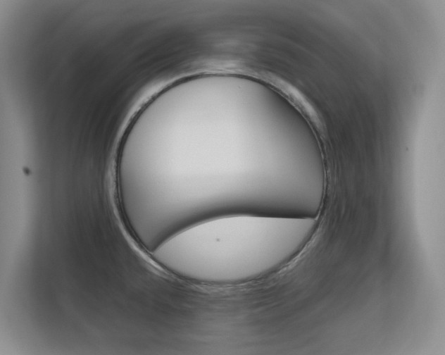 X0000112751432200908201004