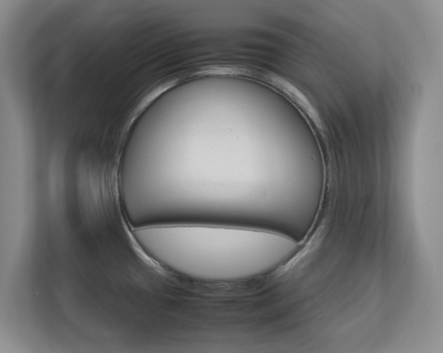 X0000112751433200908201004