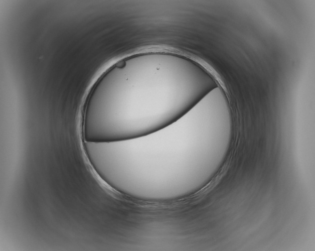 X0000112751438200908201004
