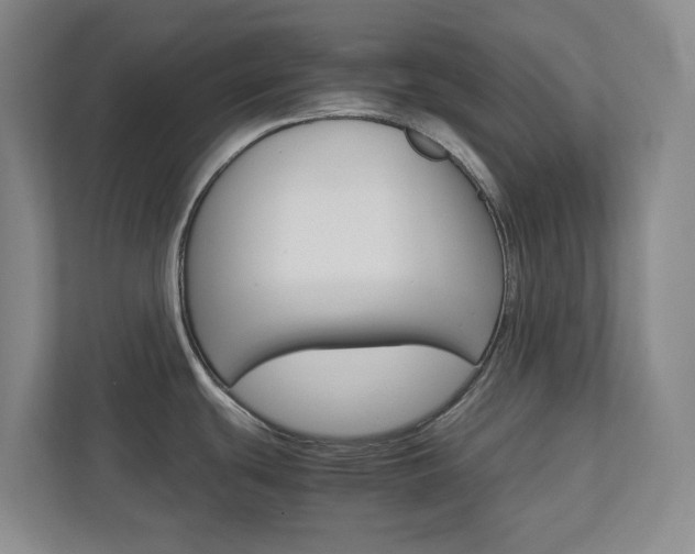 X0000112751439200908201004