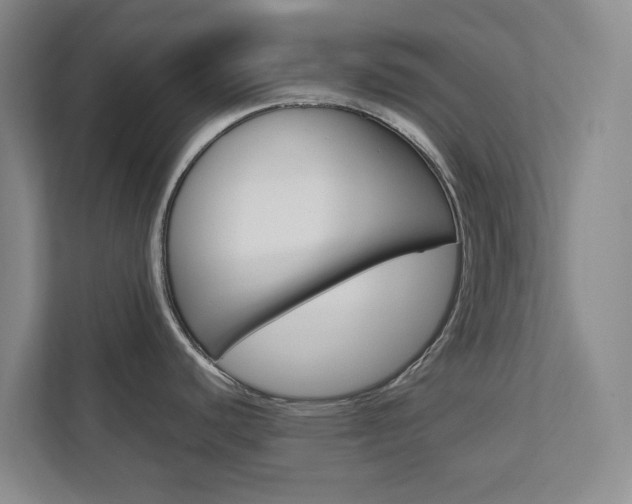 X0000112751440200908201004