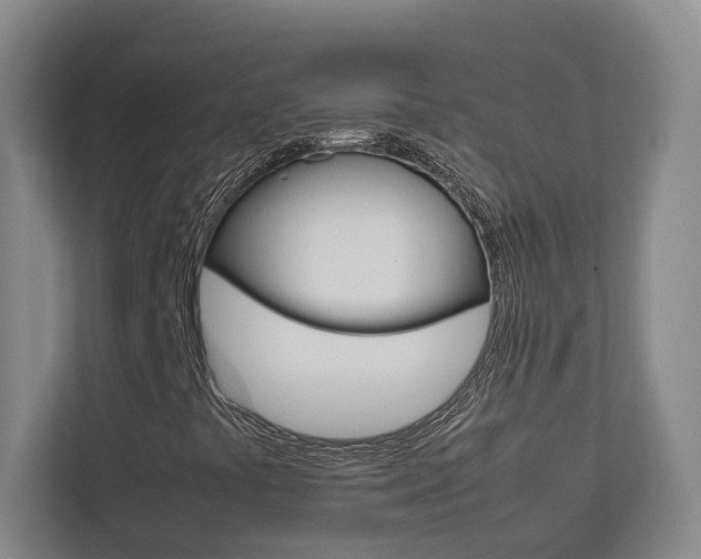 X0000112751441200908201004
