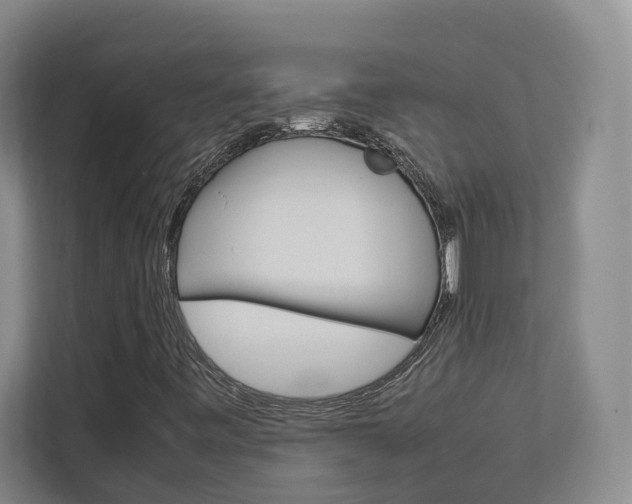 X0000112751443200908201004