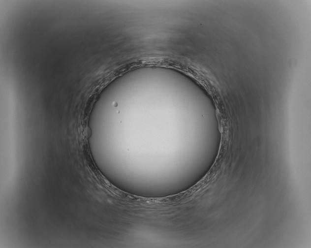 X0000112751445200908201004