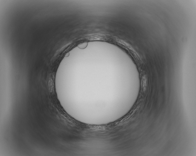 X0000112751446200908201004