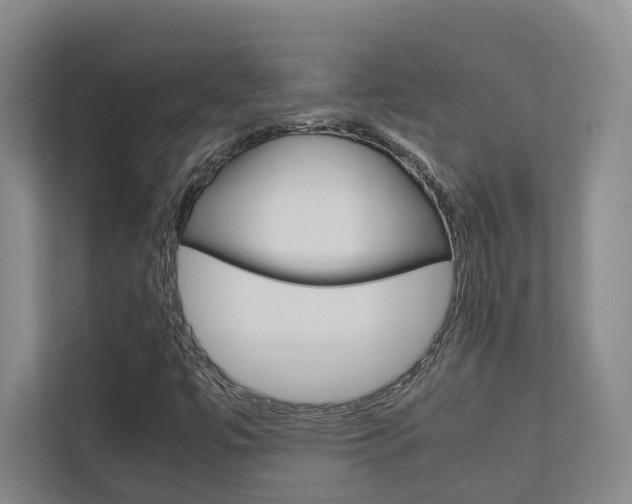 X0000112751447200908201004