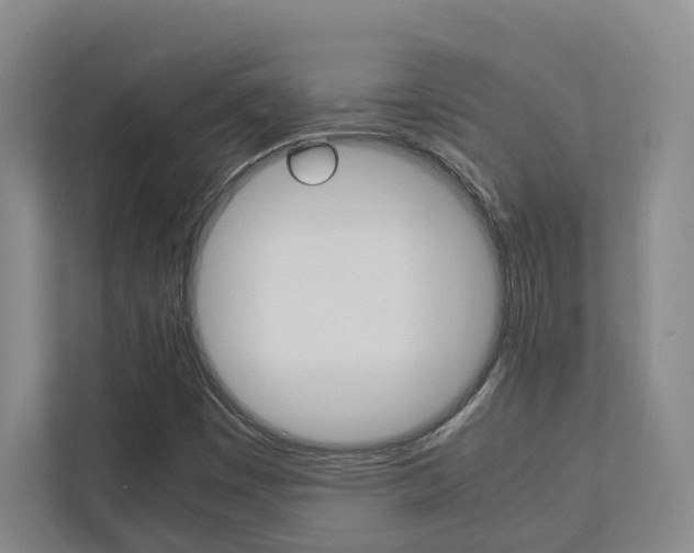 X0000112751449200908201004