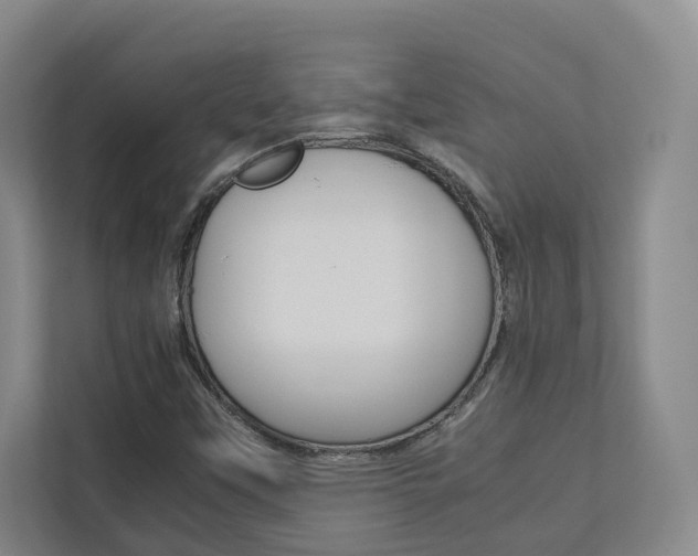 X0000112751451200908201004