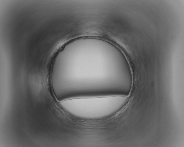 X0000112751455200908201004