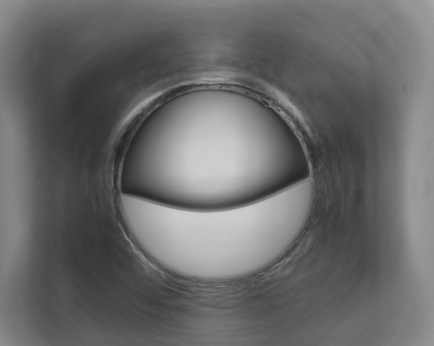 X0000112751456200908201004