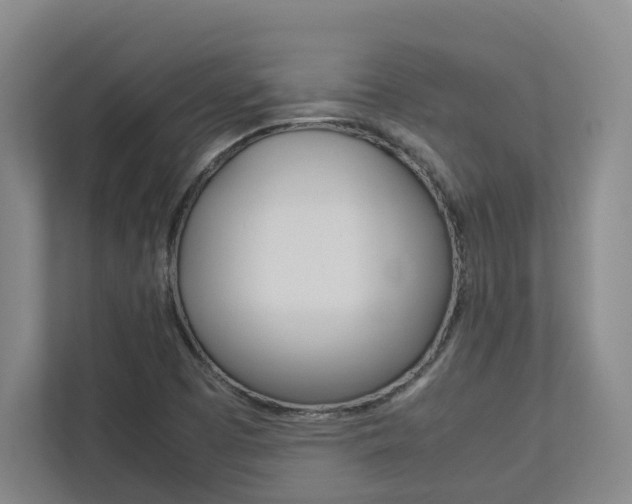 X0000112751457200908201004