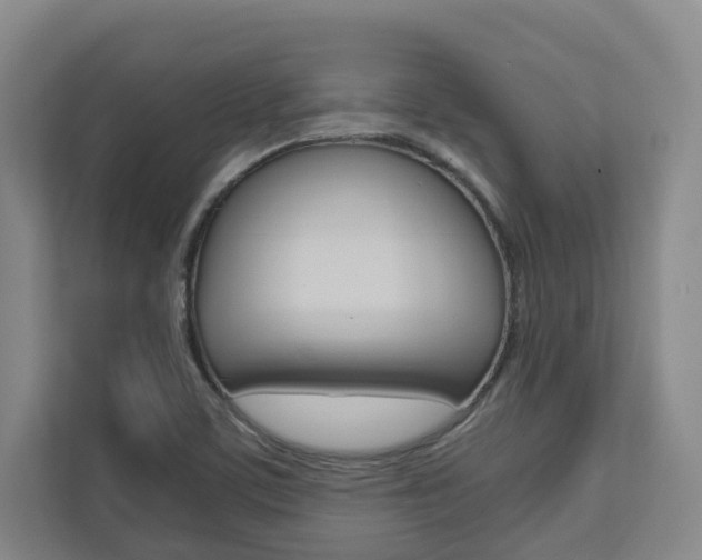 X0000112751459200908201003