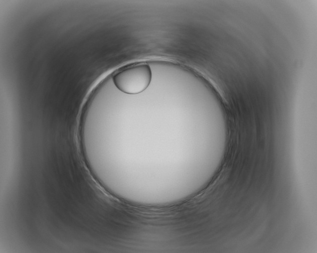 X0000112751460200908201003