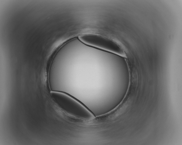 X0000112751461200908201003