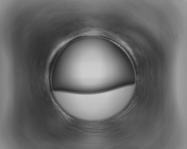 X0000112751464200908201003