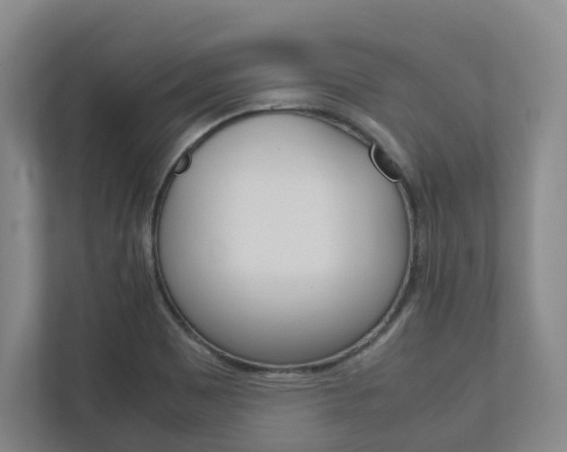 X0000112751465200908201003