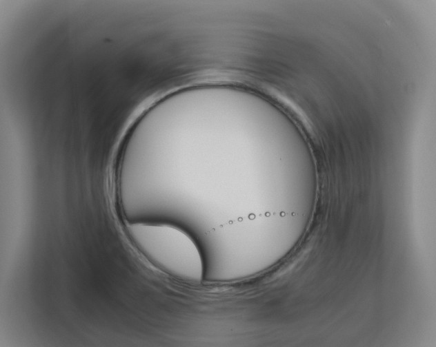 X0000112751467200908201003