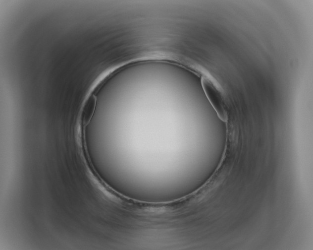 X0000112751468200908201003