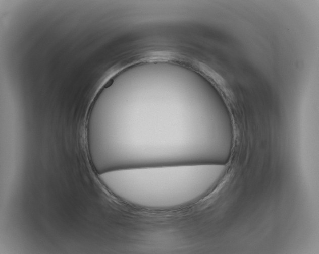 X0000112751473200908201003