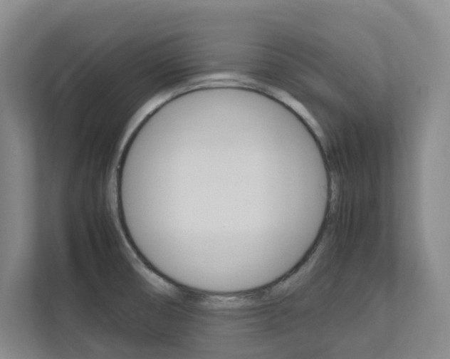 X0000112751474200908201003