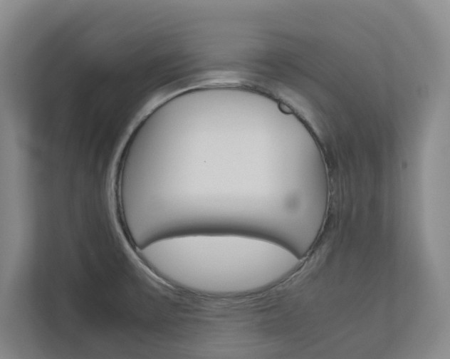 X0000112751475200908201003
