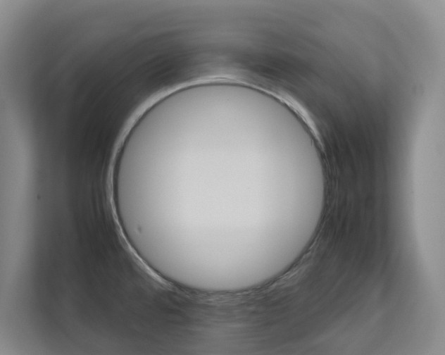 X0000112751480200908201003