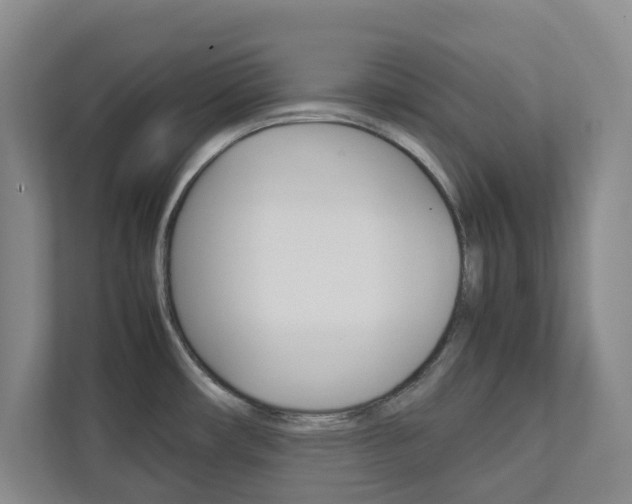 X0000112751482200908201003
