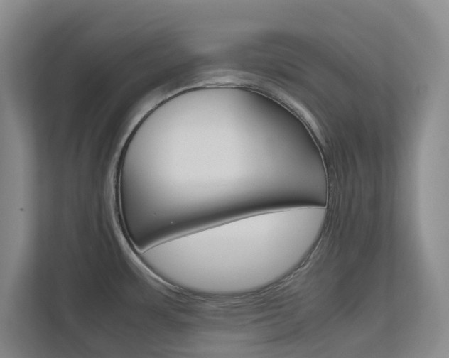 X0000112751483200908201003